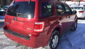 2009 Ford Escape full